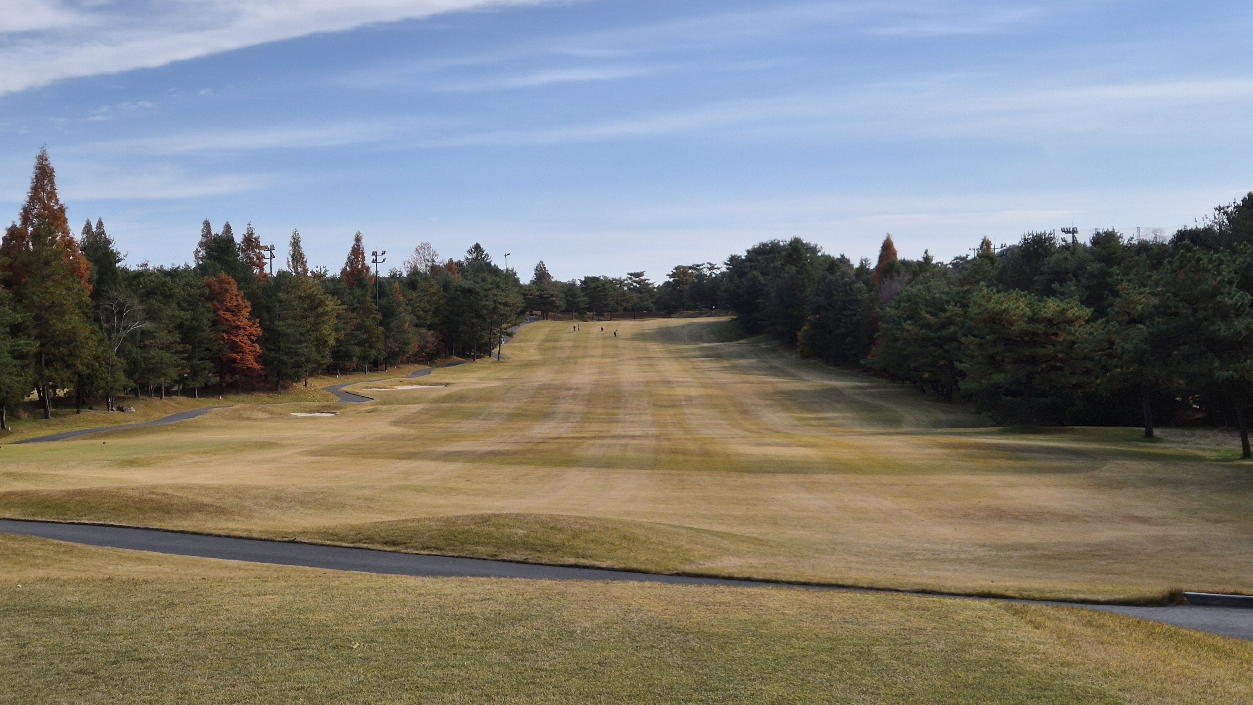 세종에머슨cc 밸리코스 사진 및 공략 정보