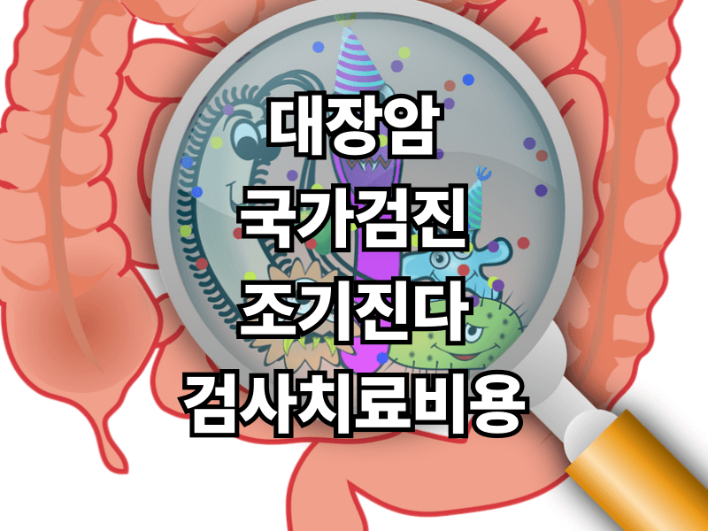 대장암 완전 가이드 2026 꼭 알아야 할 조기검진&middot;비용&middot;치료법 정리!