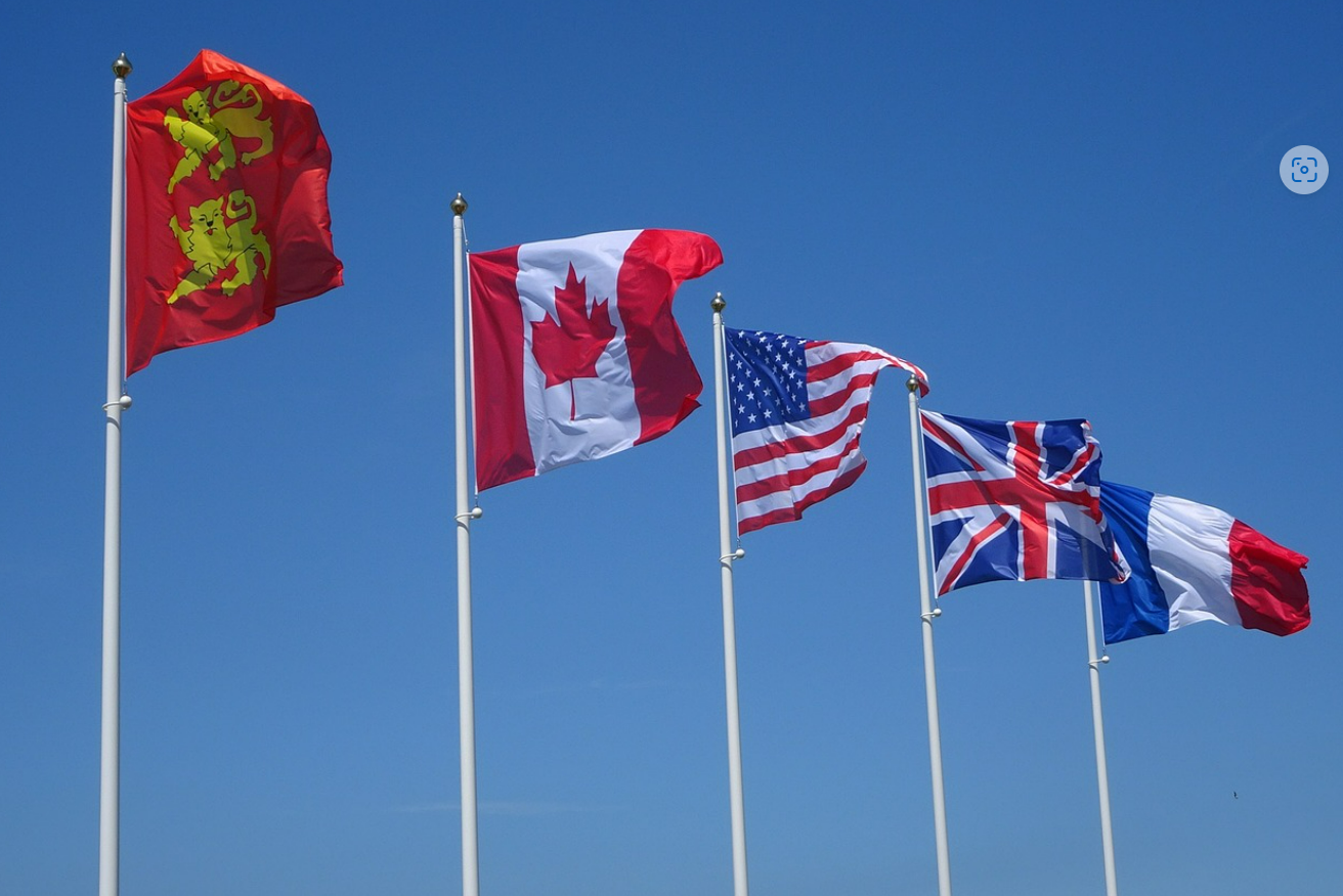 나라별 강아지 성격