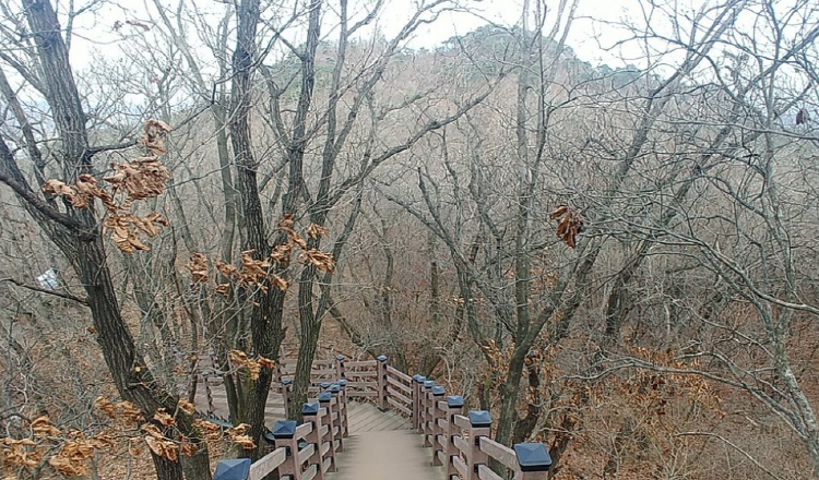 청계산 등산지도