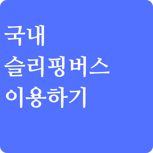 슬리핑버스 편안하고 저렴한 여행의 비결