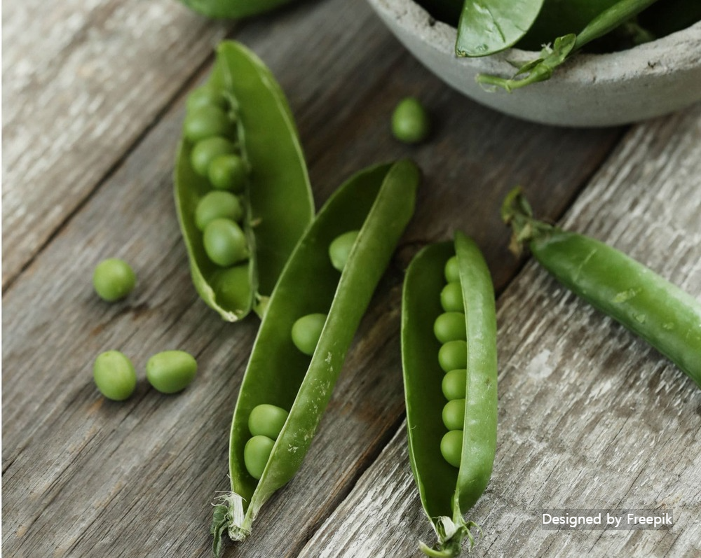 완두콩
