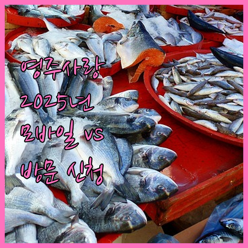 2025 영주사랑상품권 모바일-방문 ..