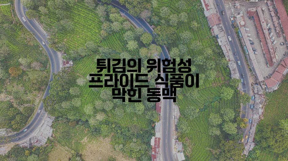 튀김의 위험성 프라이드 식품이 막힌 동맥
