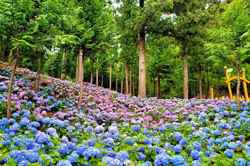 특색 있고 아름다운 민간 정원 30선 추천 여행 - 15. 구례 반야원 &amp; 플라타너스