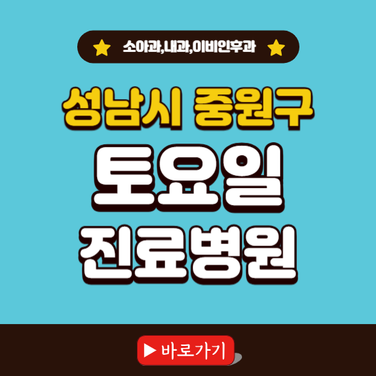 성남시 중원구 토요일 진료 병원 찾기 ❘ 주말 문여는 소아과, 내과, 이비인후과 리스트