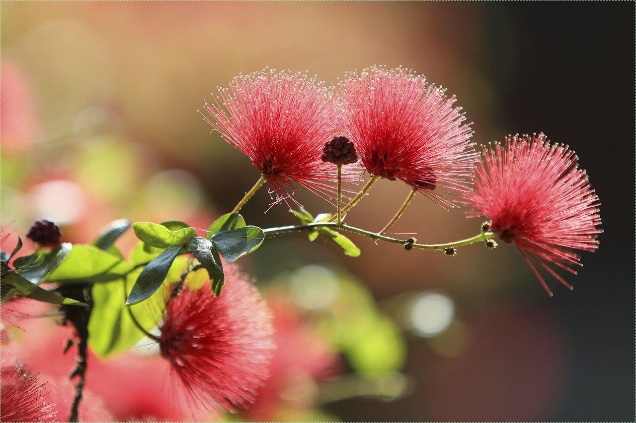 현대자동차 제네시스g80 가격표