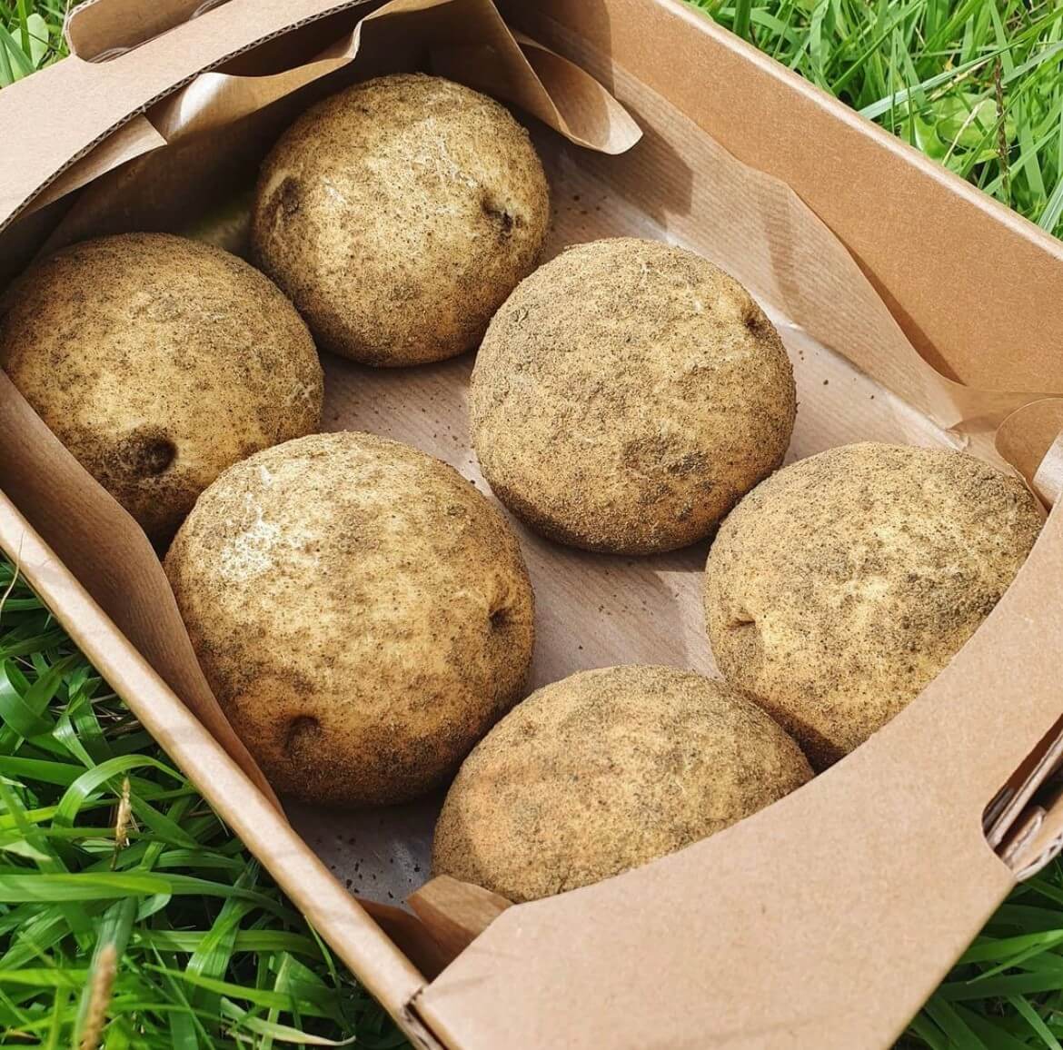 생방송오늘저녁 구황작물 3종세트 강원도 평창 농부네 빵집 정보 및 택배 주문 방법