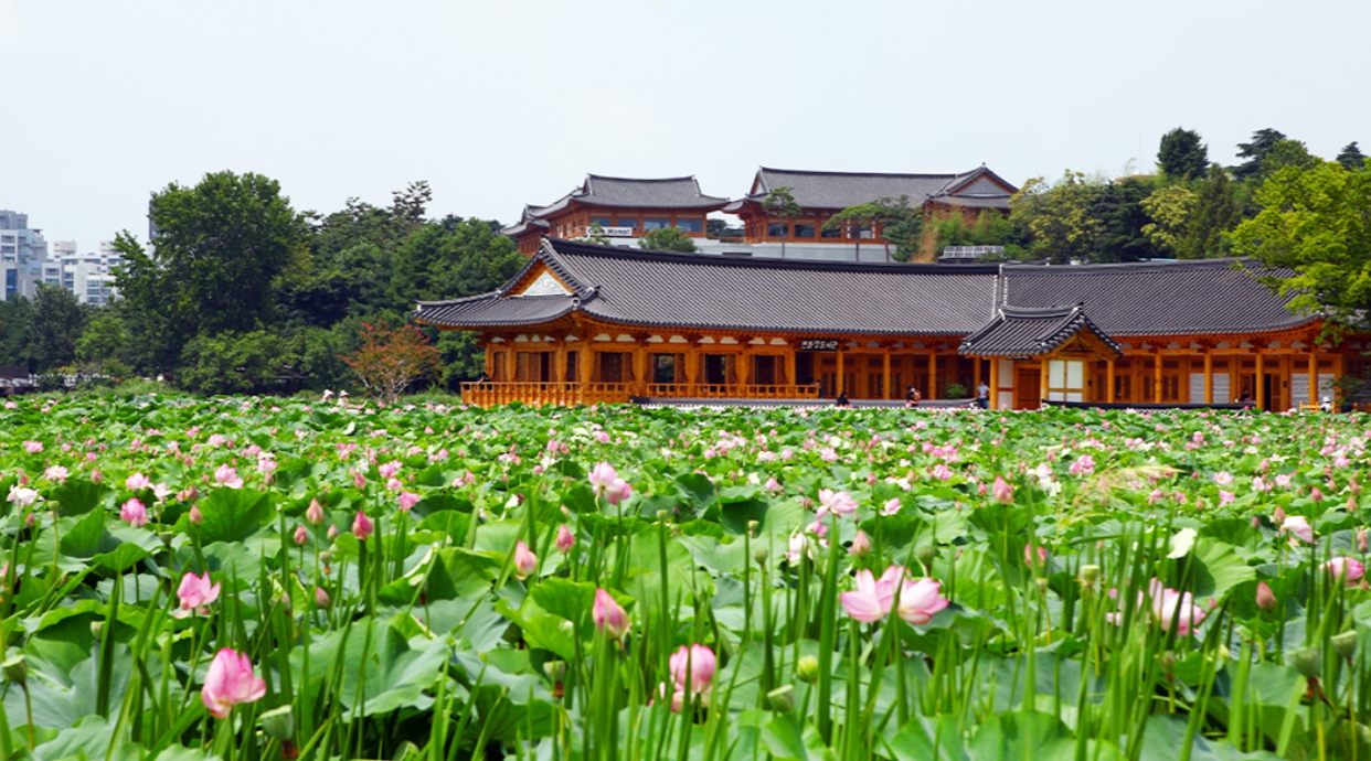 전북 6월 꽃구경 가볼만한곳 베스트 10, 갈만한 축제 여행지 추천