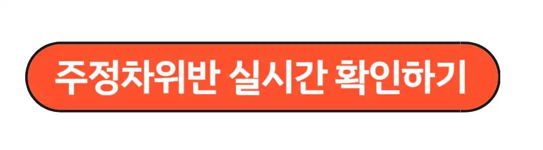 주정차위반 실시간 확인