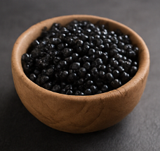 철갑상어 콘드로이친