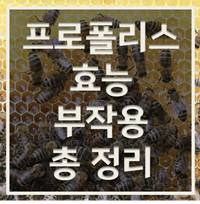 프로폴리스 효능 및 부작용