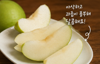 그린시스 배 정체는? 전참시 이영자 초록배 가격·구매처 총정리4