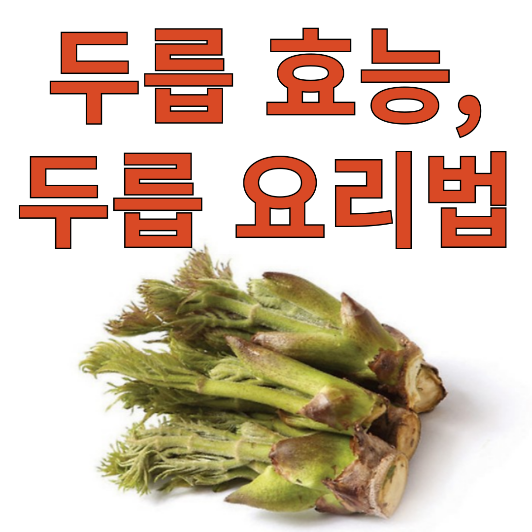 두릅 효능