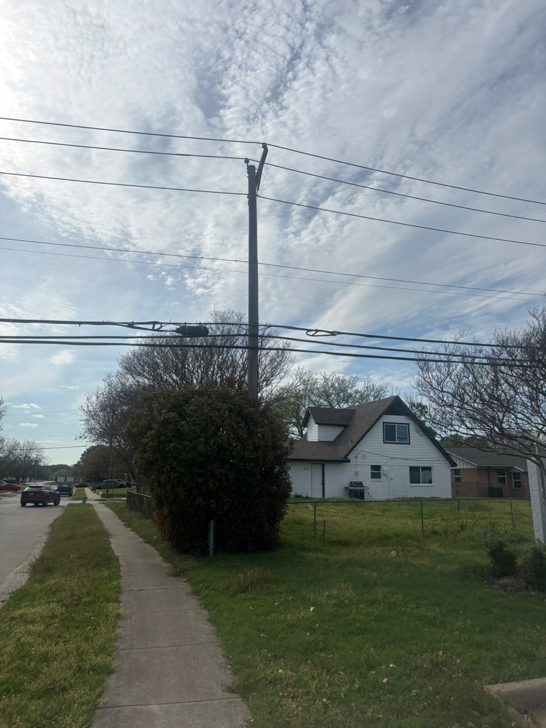 미국 나무 전봇대