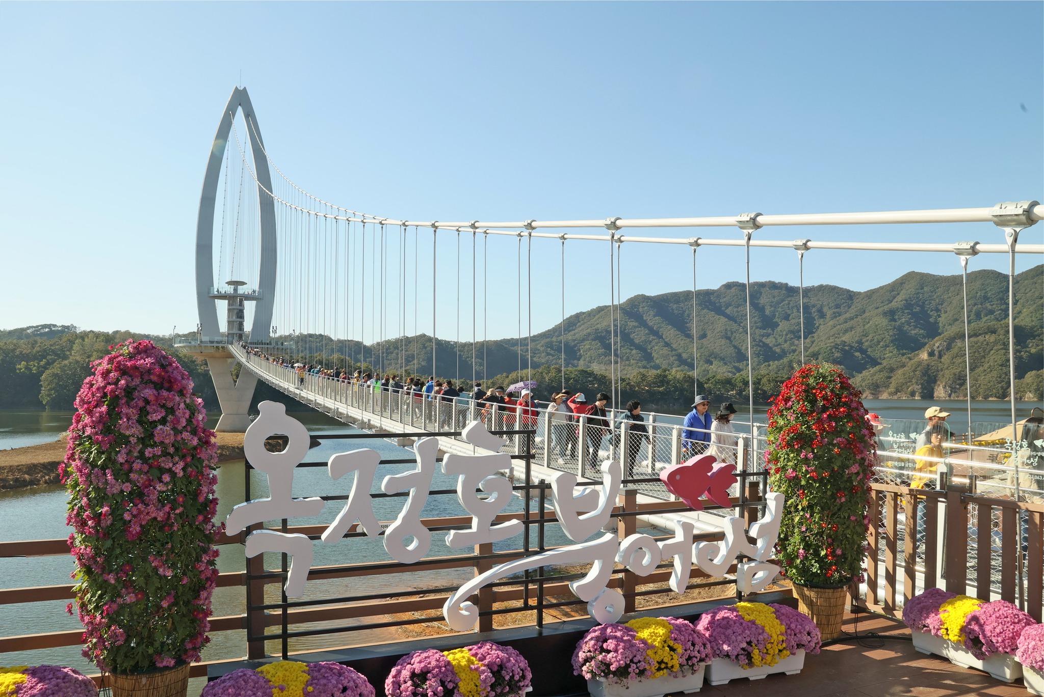 임실 벚꽃 축제 특징