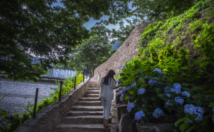 진주 월아산자연휴양림