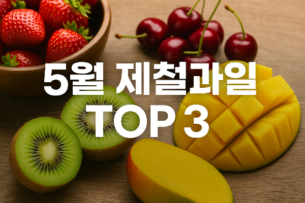 5월 제철 과일 TOP3! 이건 꼭 먹어야해!