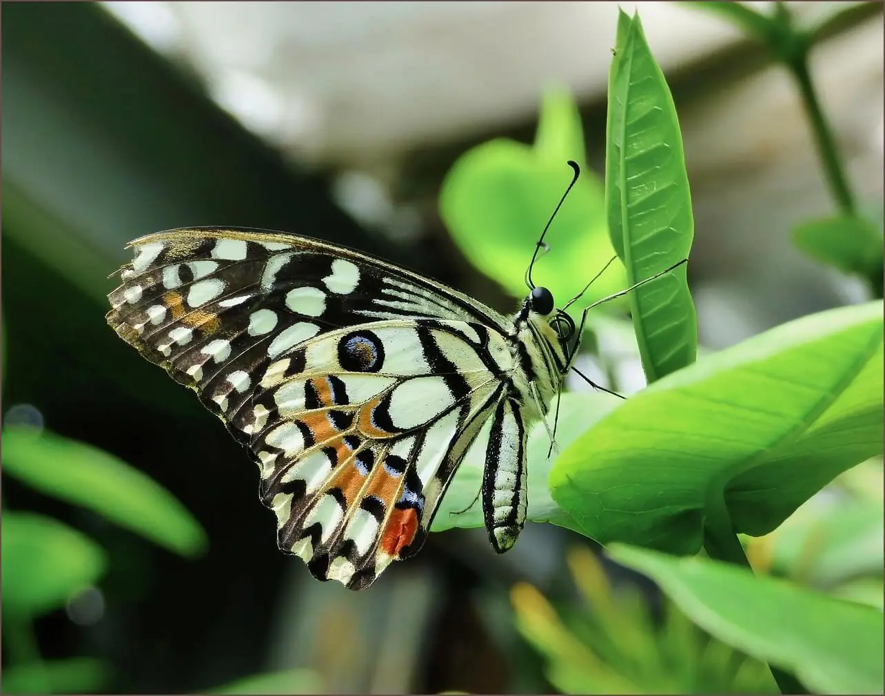 가족관계증명서 무인발급기 위치