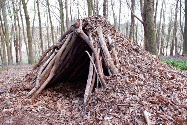 초여름~초가을 생존 - 계절별 최적 쉼터 배치와 단열법