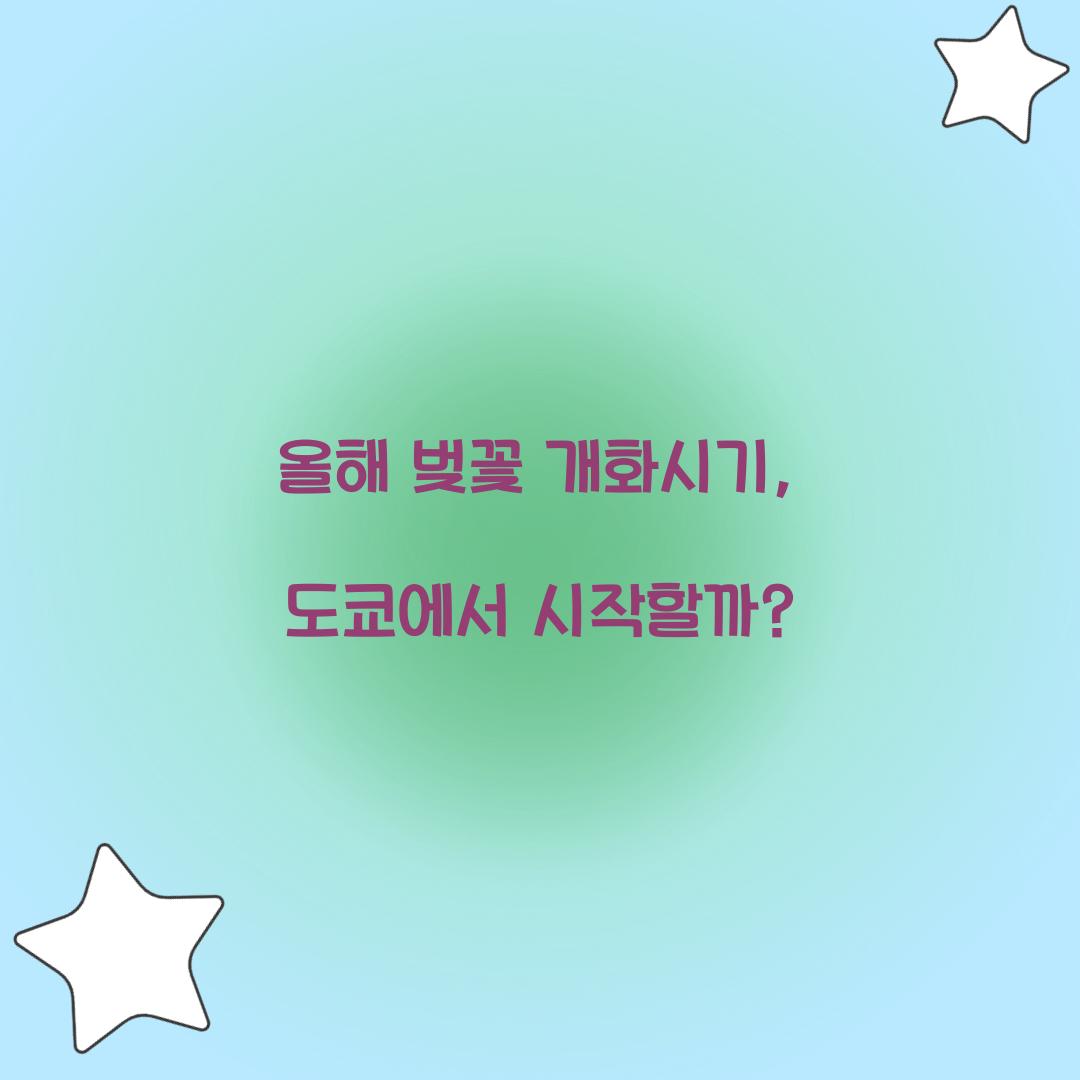 올해 벚꽃 개화시기