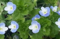 초보자도 쉽게 시작하는 해외ETF 투자 가이드