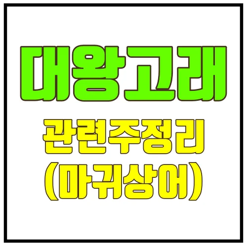 대왕고래관련주정리_마귀상어
