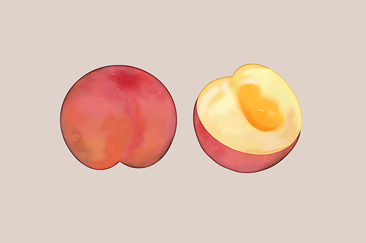 자두-하루-섭취-권장량