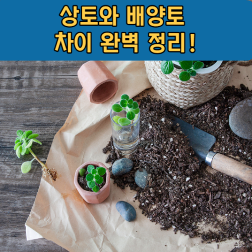 상토와 배양토&nbsp;차이 완벽 정리!