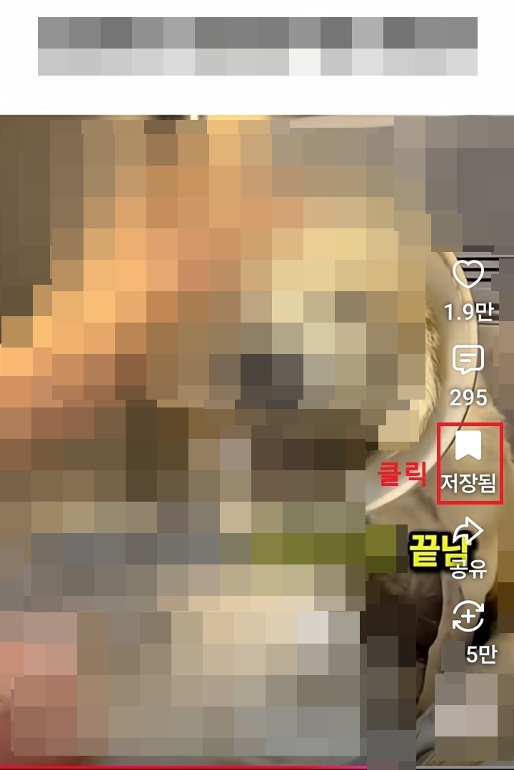 쇼츠 화면 우측에 저장 버튼 보임