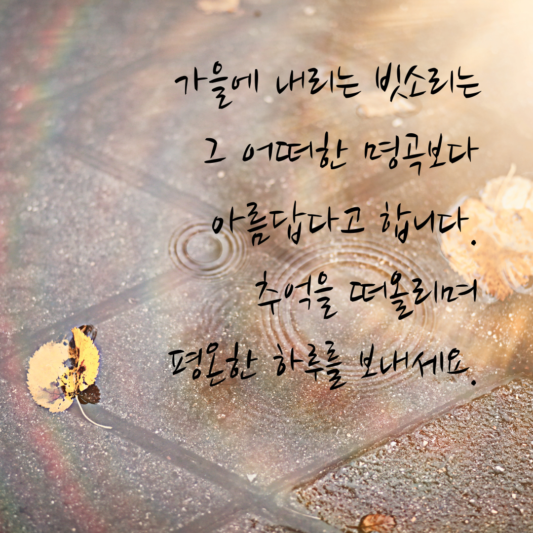 가을비 내리는 날 인사말 이미지 문구 모음