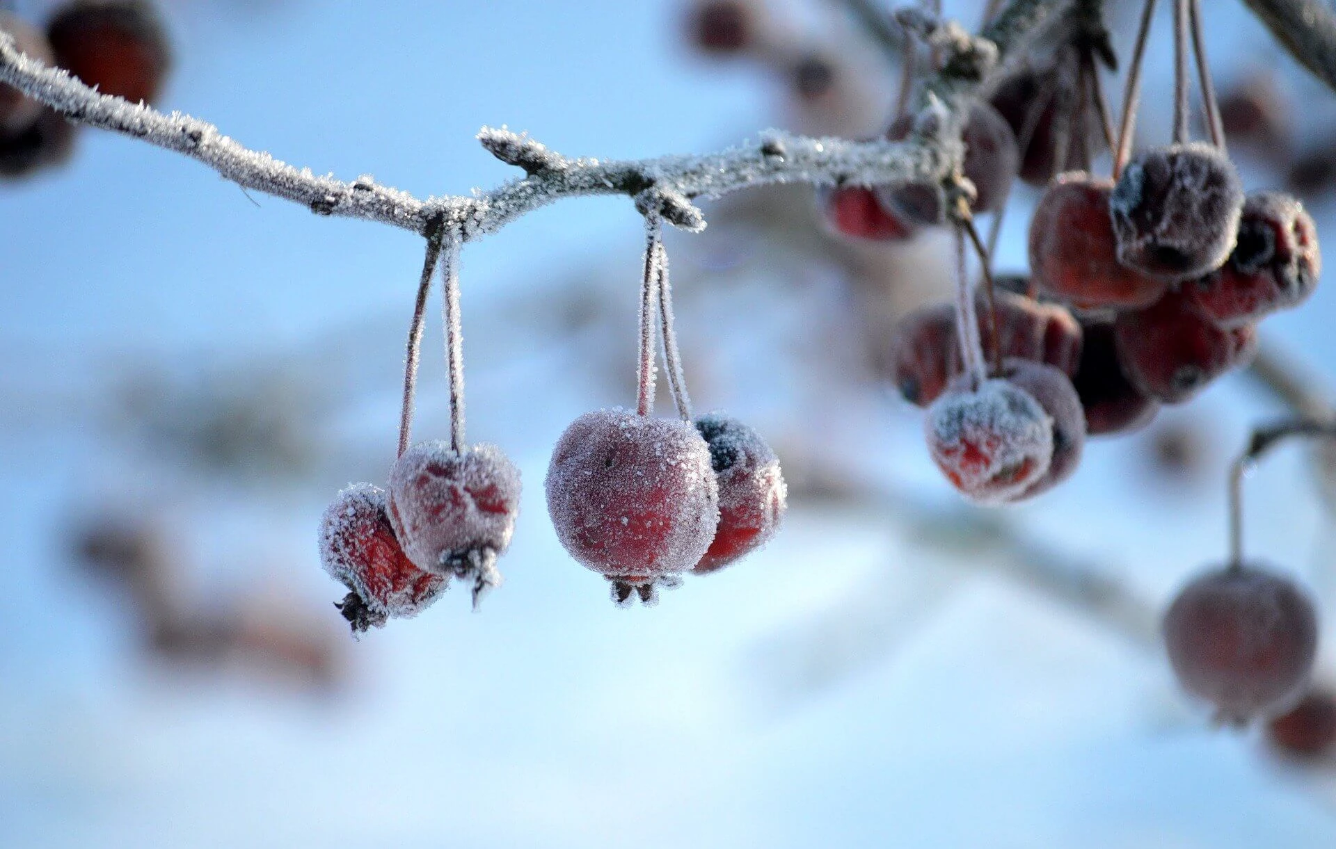 자율신경계 불균형이 감정 처리 능력에 미치는 영향