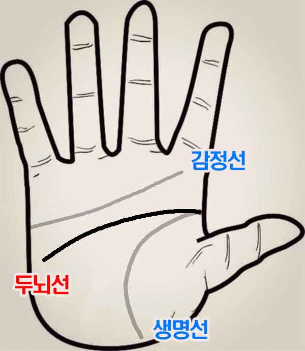 손금 두뇌선 위치