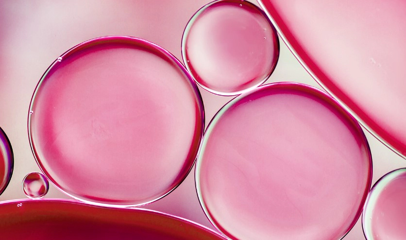 밀크 세라마이드 효능 