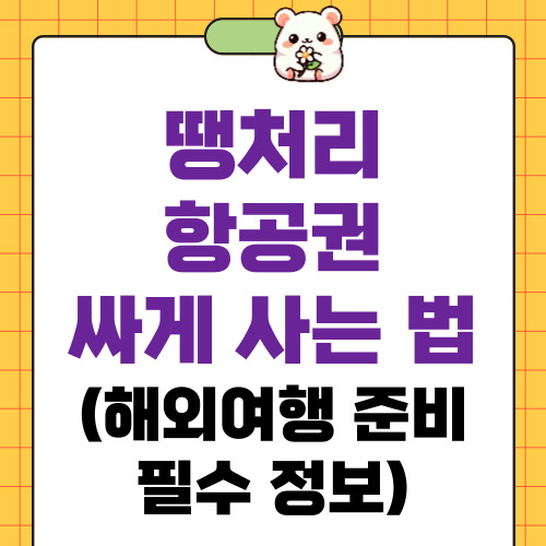 땡처리 항공권