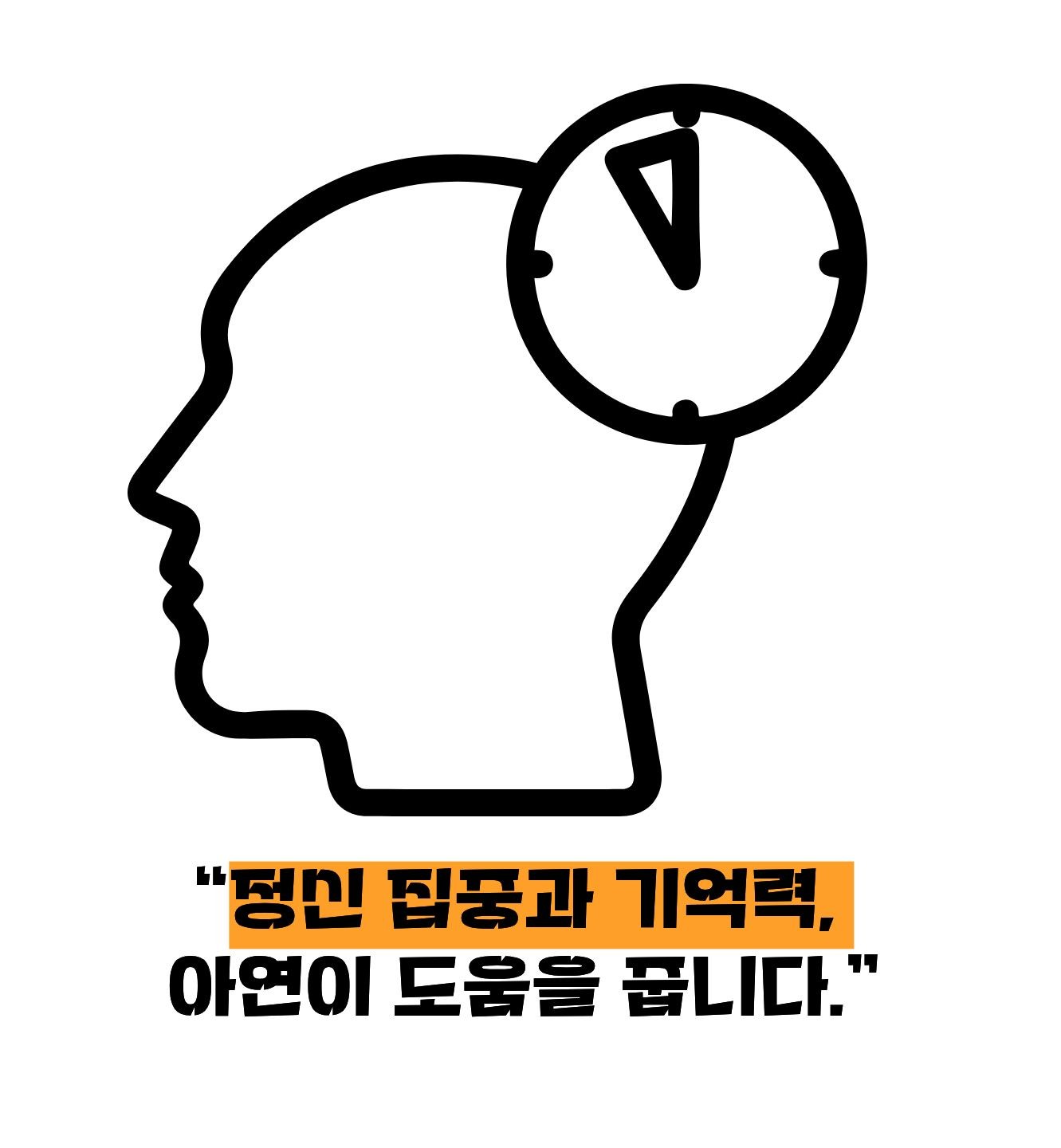 아연의 집중력 효능 이미지