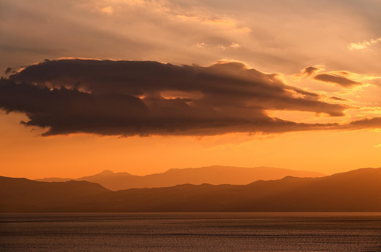 뉴칼레도니아뜸부기와 진화의 미스터리