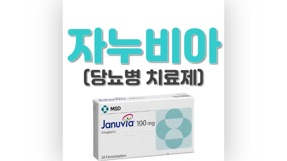 자누비아 썸네일