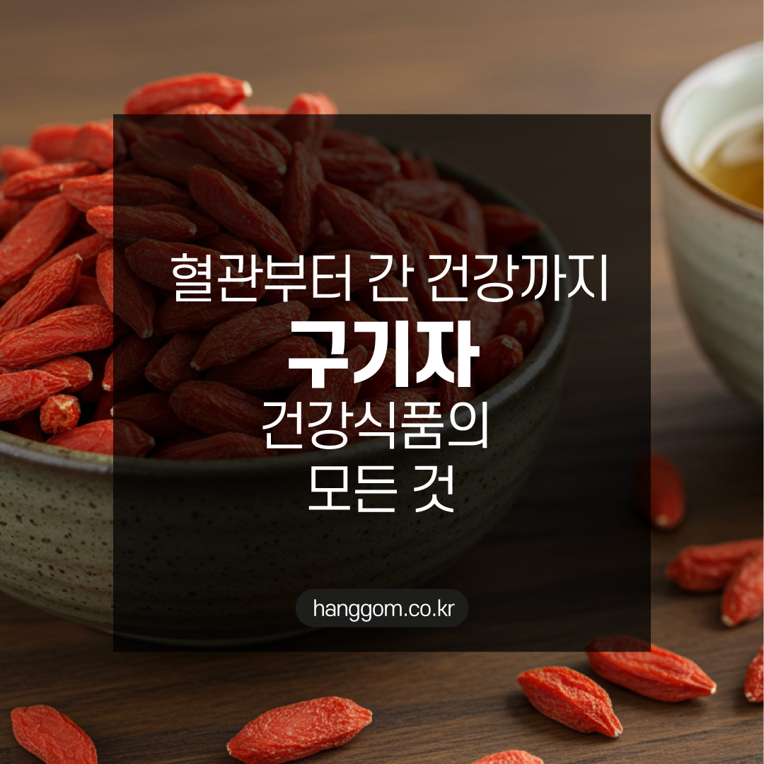 구기자 건강식품의 모든 것: 혈관부터 간 건강까지, 전통이 증명한 슈퍼푸드