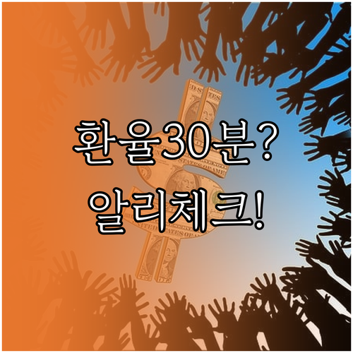 알리페이 환율 30분 지연, 결제 순..
