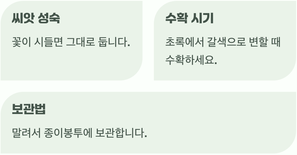 내년을 기약하는 똑똑한 씨앗 받기