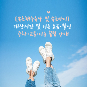 속초해수욕장 및 속초아이