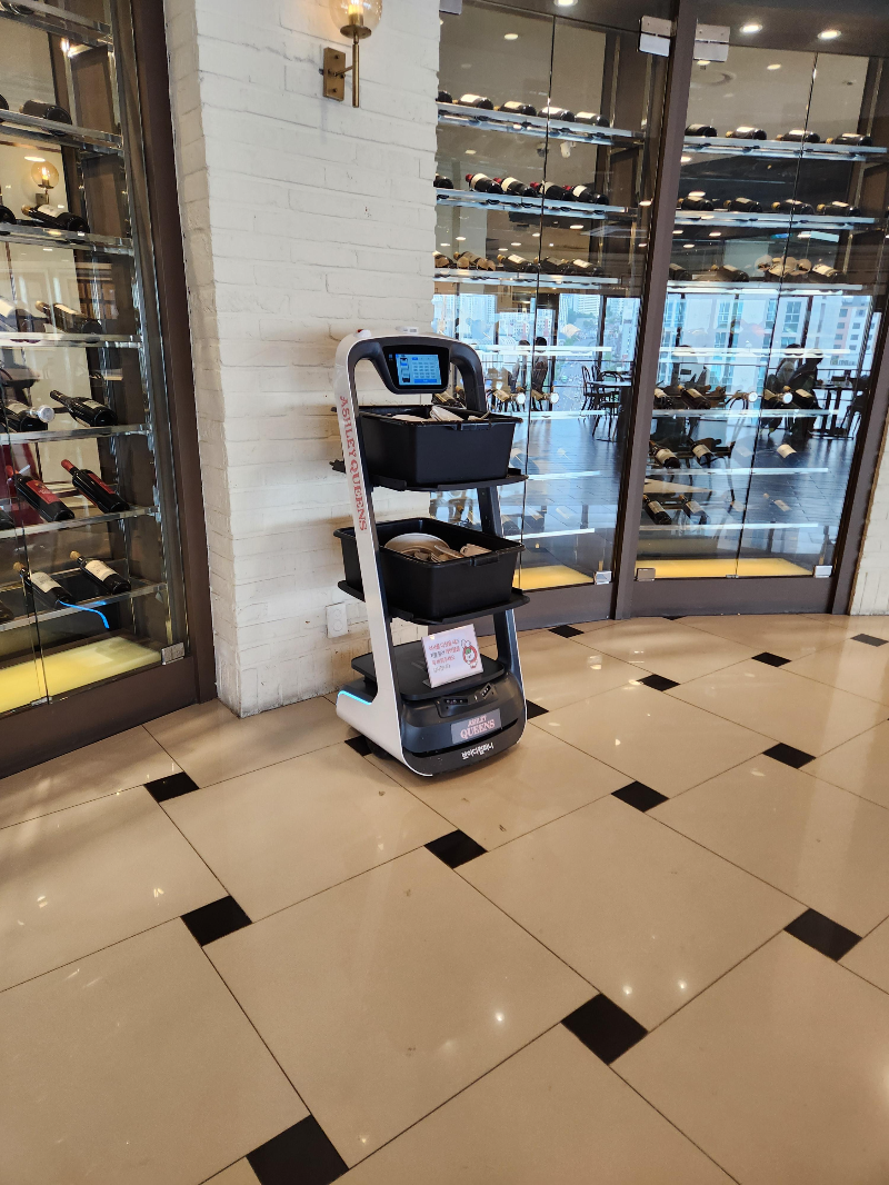 서울대 에그옐로우 애슐리퀸즈