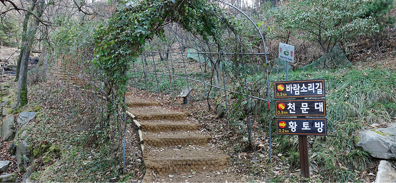 2025 증평인삼골축제&amp;#44;인삼 체험 축제