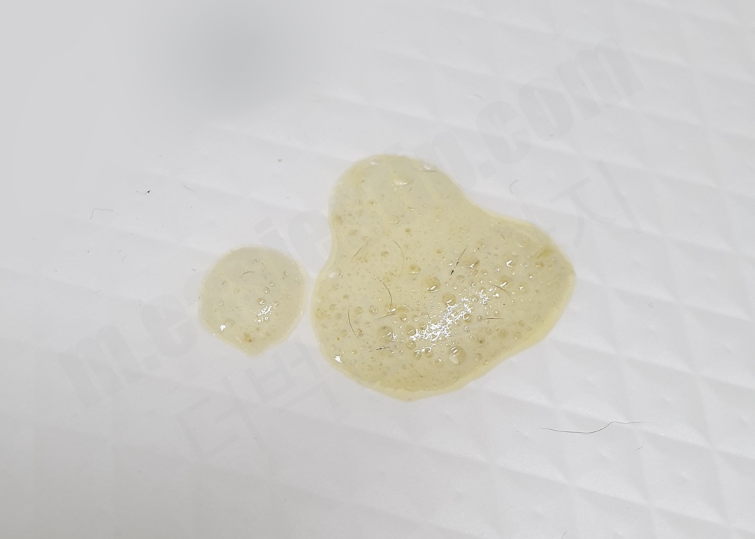 강아지 노란 거품토