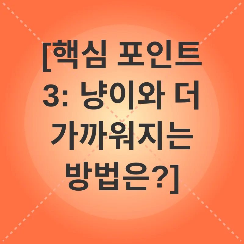 반려묘 이해_3