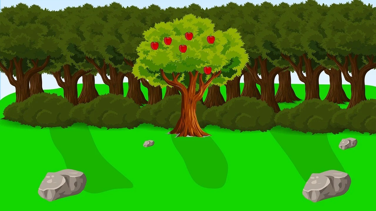 사과식초-효능-애사비-체지방-다이어트-혈당-당뇨