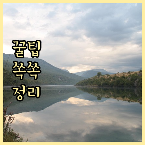 새 여권 발급 후 ESTA 재신청 필..