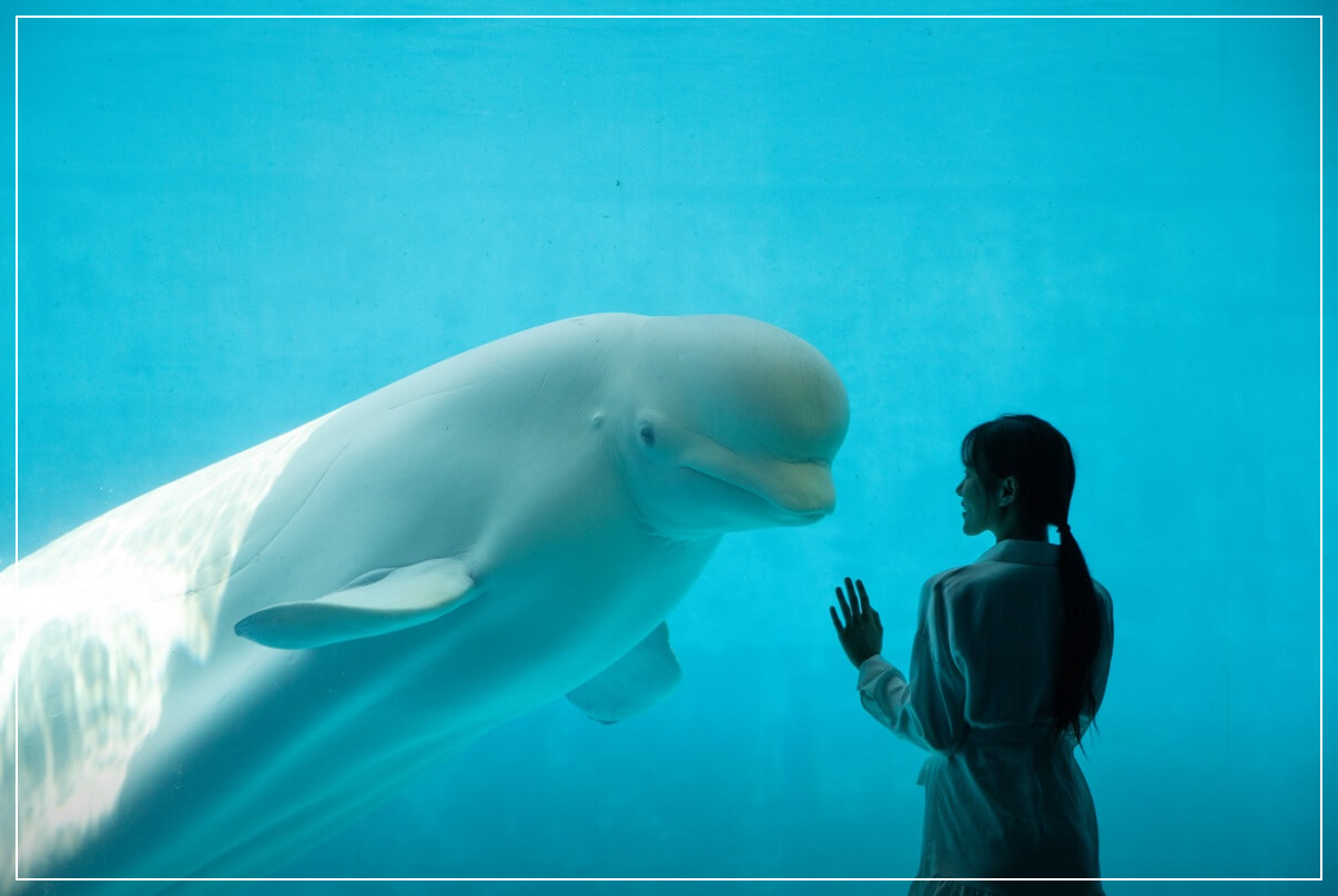 거제도 가볼만한곳 베스트10 거재씨월드