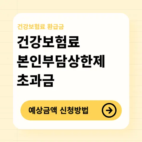 건강보험-본인부담-상한제-초과-환급금-신청방법